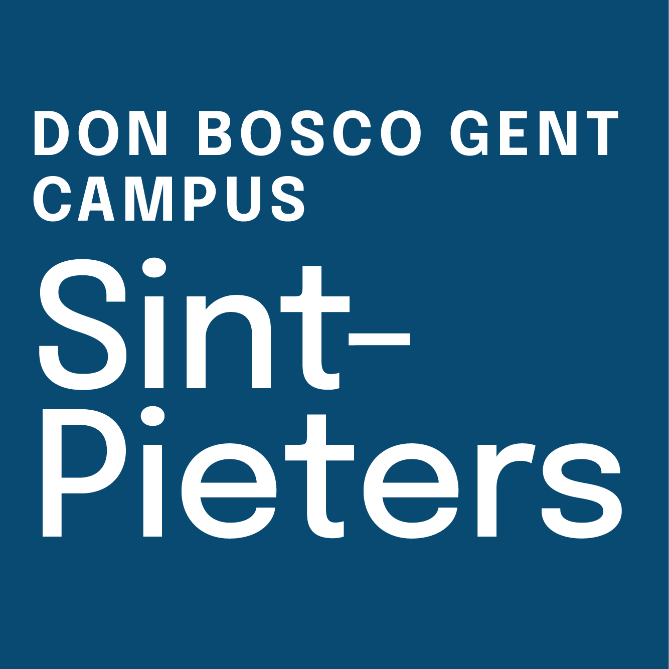 Don Bosco Sint-Pieters logo